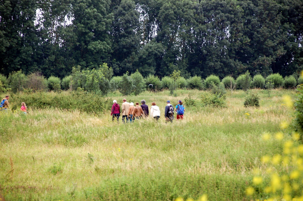 Groepje mensen loopt over een klompenpad dwars door een weiland.